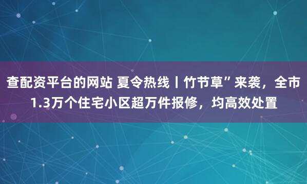 查配资平台的网站 夏令热线丨竹节草”来袭，全市1.3万个住宅小区超万件报修，均高效处置